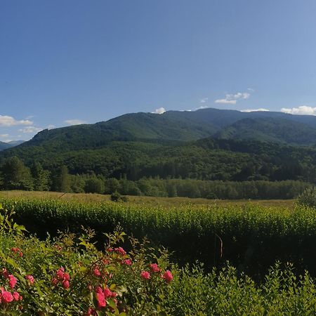 Valea Doamnei Hotell Nucşoara Exteriör bild