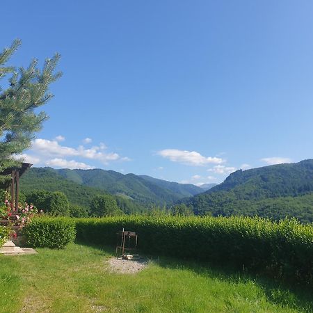 Valea Doamnei Hotell Nucşoara Exteriör bild