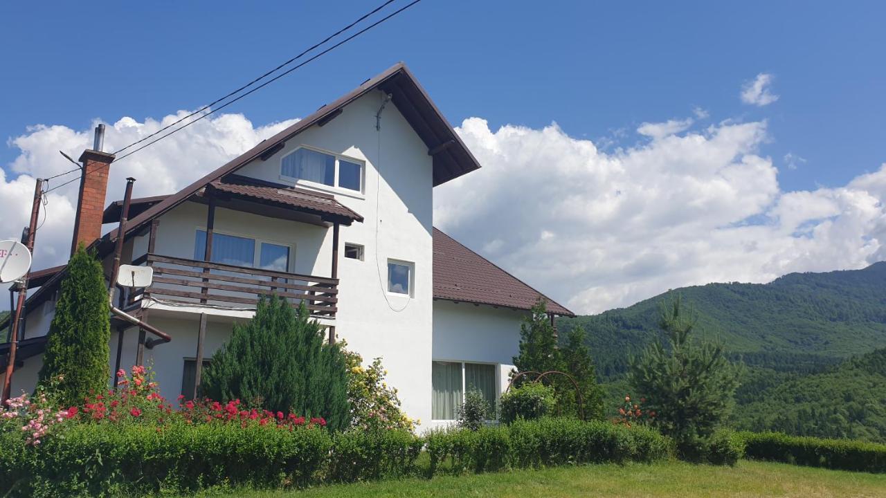 Valea Doamnei Hotell Nucşoara Exteriör bild