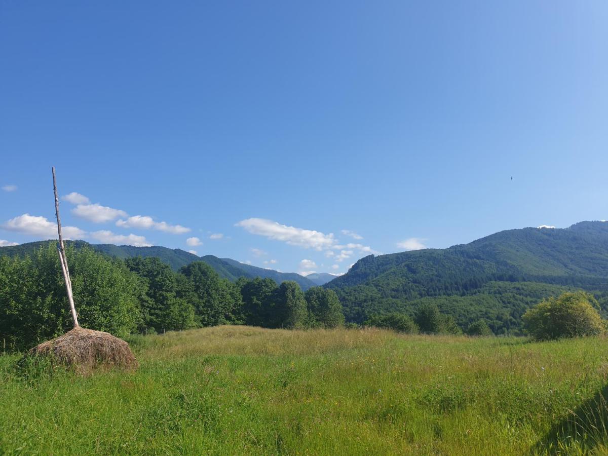 Valea Doamnei Hotell Nucşoara Exteriör bild
