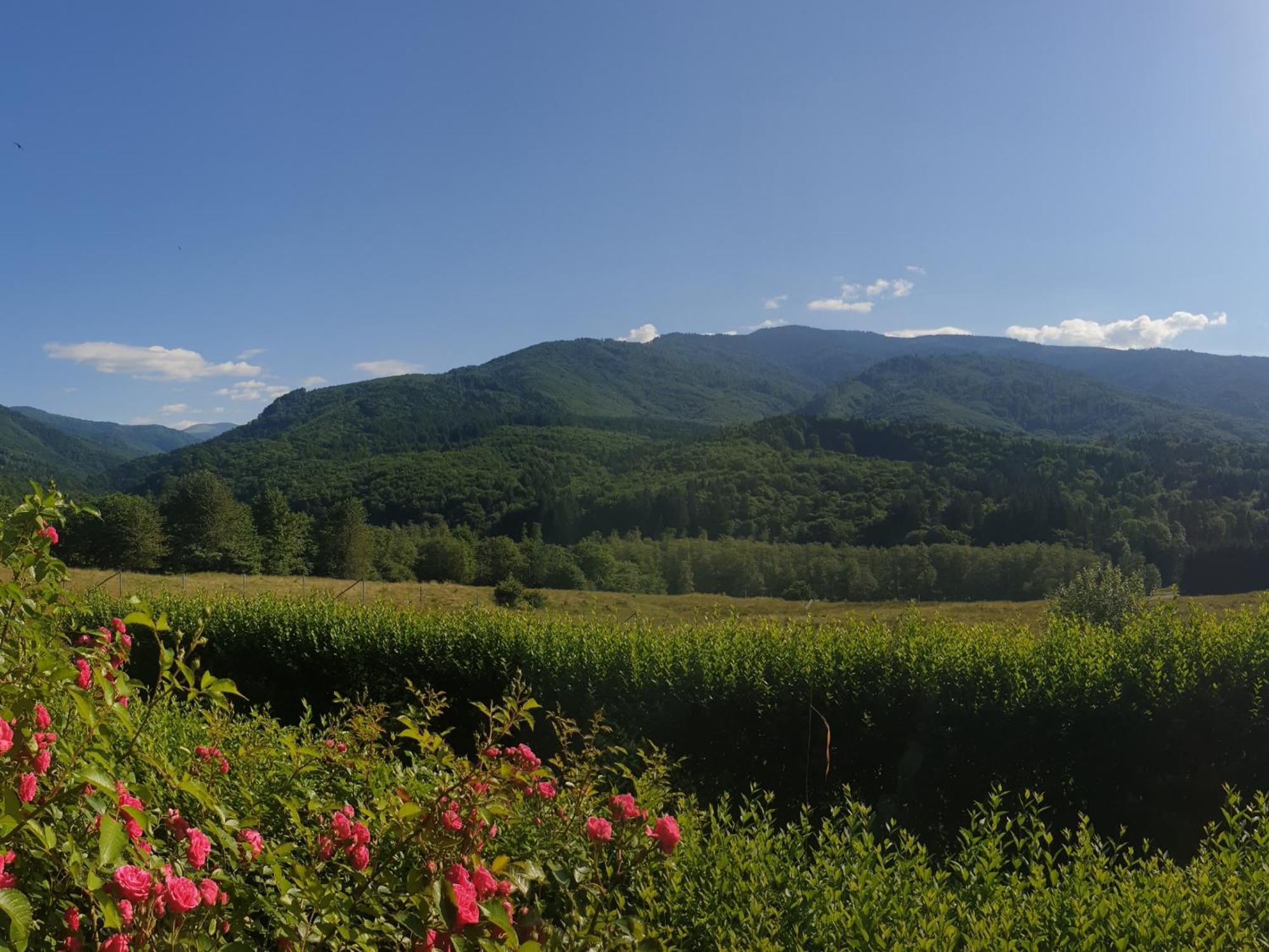 Valea Doamnei Hotell Nucşoara Exteriör bild