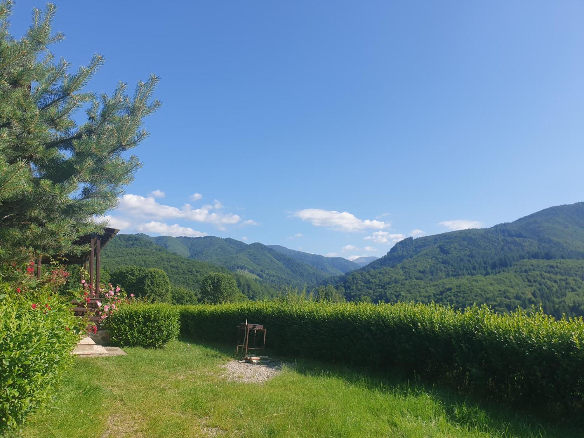 Valea Doamnei Hotell Nucşoara Exteriör bild