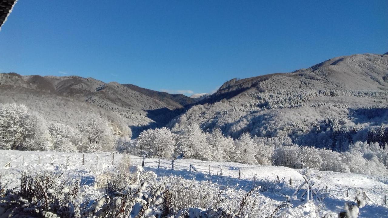 Valea Doamnei Hotell Nucşoara Exteriör bild